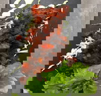 Le Wrap - Prairiewood - Bed n Breakfasts