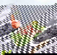 Nourish and Feed - Local Tourism