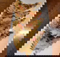 Phill Bean - Australia Shopping