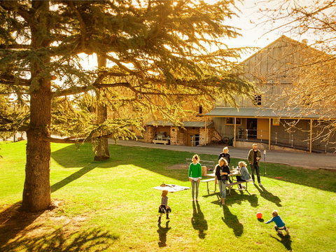 Sevenhill Cellars - Local Tourism 1