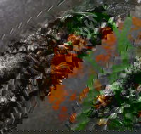 Shukah - Accommodation Australia