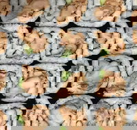 Sushi Pia - Accommodation Australia