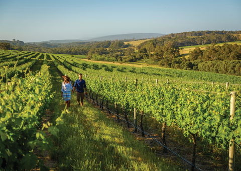 Wills Domain - Accommodation Australia 0