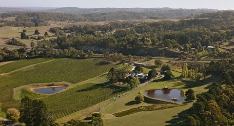 Maximilian's Restaurant - Local Tourism 0