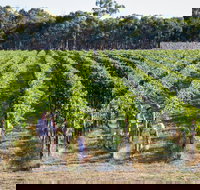 Weathercraft Wines - Local Tourism