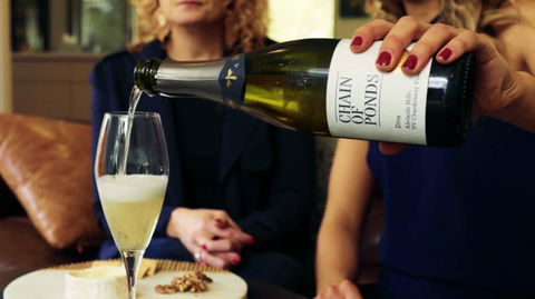 Adelaide Hills-Billies Cheese & Wine Tasting - Accommodation Australia 2