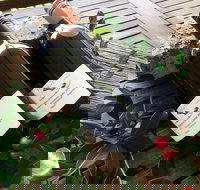 Hill of Promise Winery and Cellar Door - Local Tourism