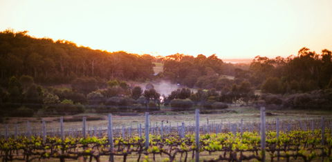 Howling Wolves Wines - Accommodation Australia 0