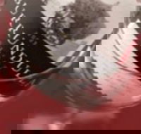 Burrundulla Vineyards - Accommodation Australia