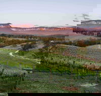 Dryridge Estate - Australia Shopping