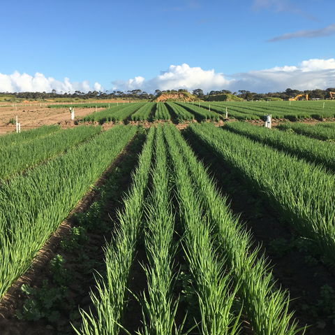 Hawkes Farm - Accommodation Australia 0