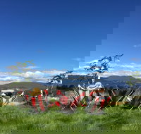 Red Feet Wines - Local Tourism