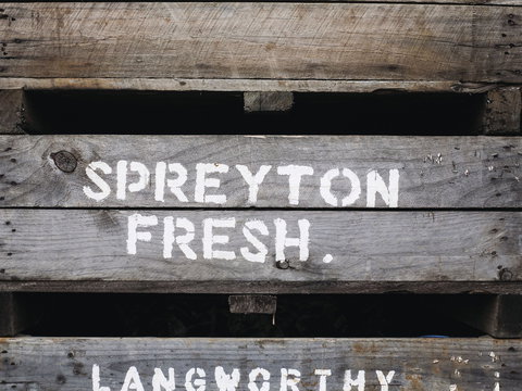 Spreyton Cider Co. - Accommodation Australia 0