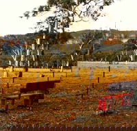 The Megalong Valley Tearooms - Australia Shopping