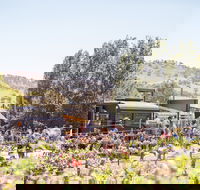 Thistle Hill Wines - Accommodation Australia