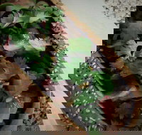 Kapela Fish and Chips - Accommodation Australia