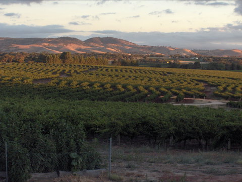 Heritage Wines - Australia Shopping 2