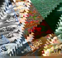 Balter Brewing Company - Accommodation Australia