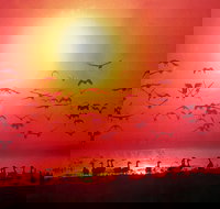 Barra Cafe on Riverview - Local Tourism