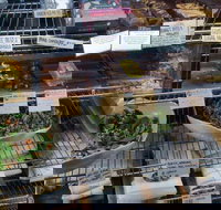 Haynes Street Larder - Accommodation Australia