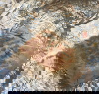 Mad Mex Fresh Mexican Grill - Local Tourism