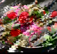 Osteria Antica - Local Tourism