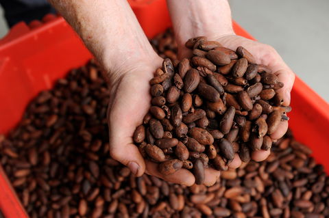 Zokoko Chocolate And Espresso Cafe - Accommodation Australia 0