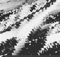 The Cordial Bar - Local Tourism