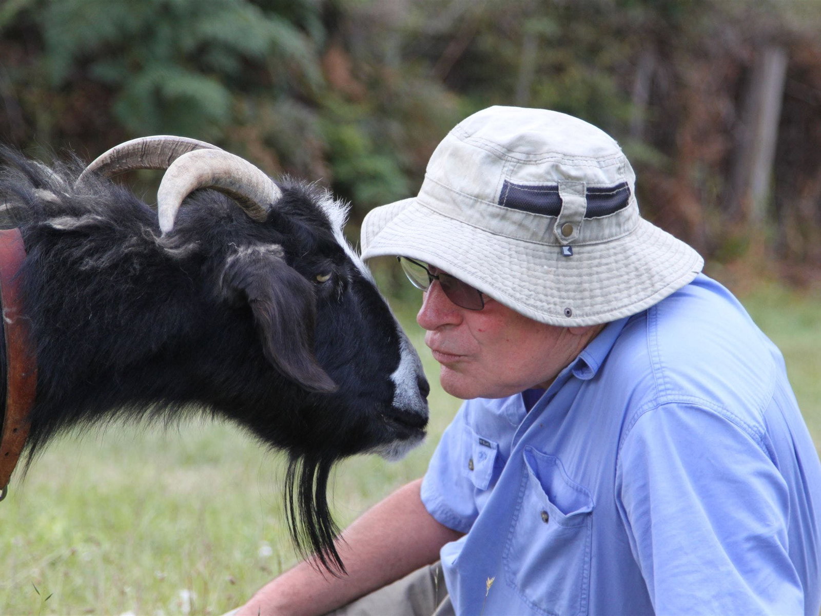  Accommodation Australia