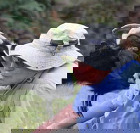 Providence Vineyards - Accommodation Australia