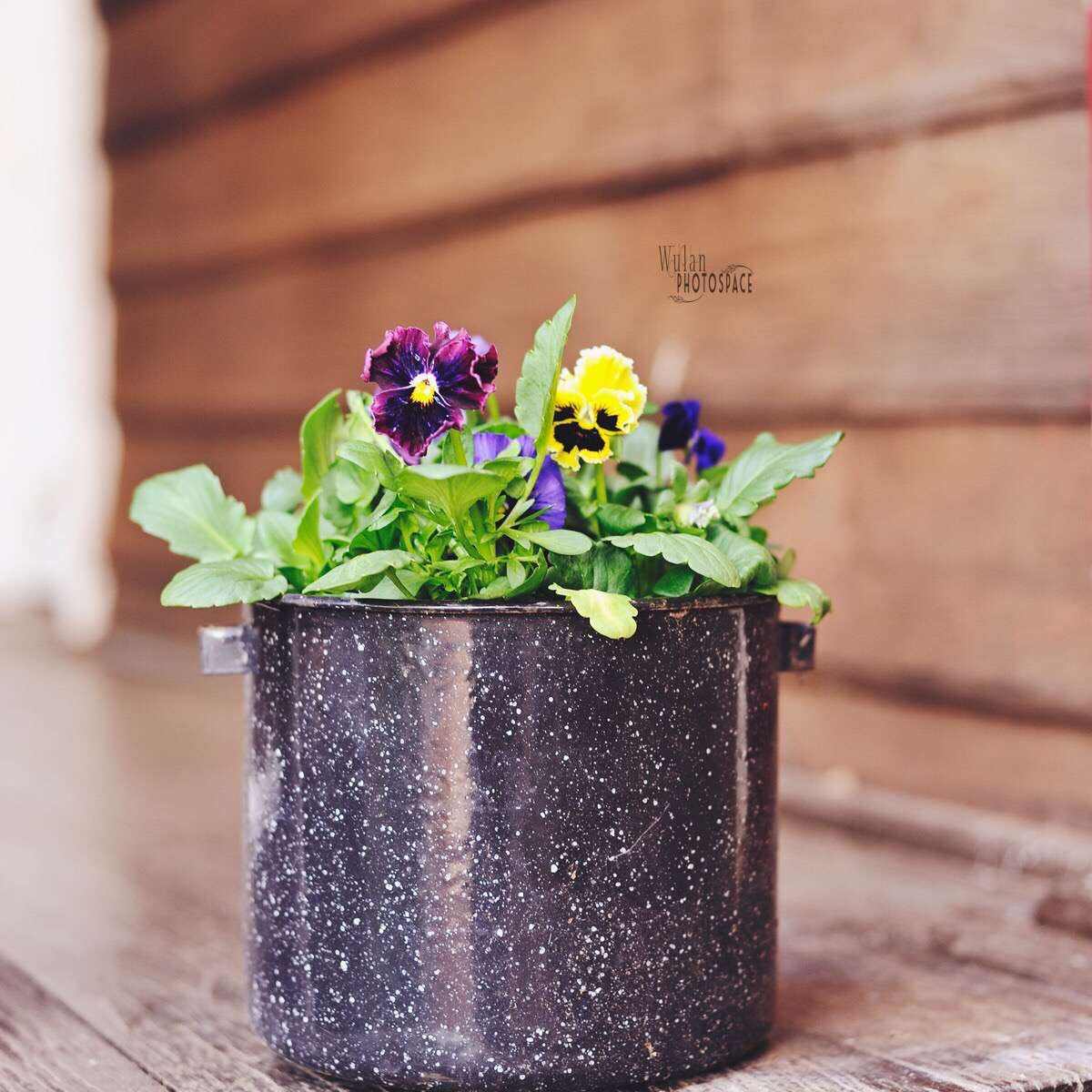 Talbot West WA Australia Shopping