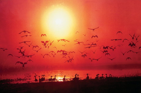 TINH And LAN Vietnamese Restaurant - Local Tourism 0