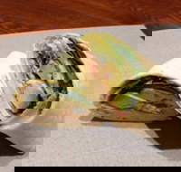 Wrap N Roll - Helensvale - Australia Shopping