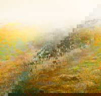 Poonawatta - Local Tourism