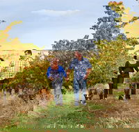 WayWood Wines - Local Tourism