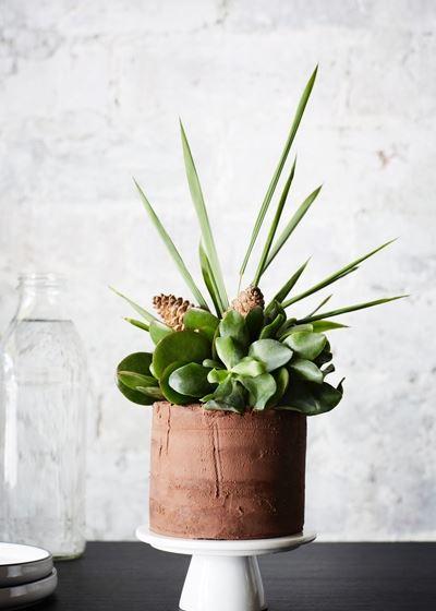 Cocina Bandito - Local Tourism 5