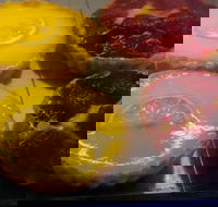 Burnt Toast - Accommodation Australia