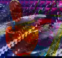 Flippers - Accommodation Australia