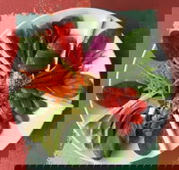 Olive Bus Clare - Accommodation Australia