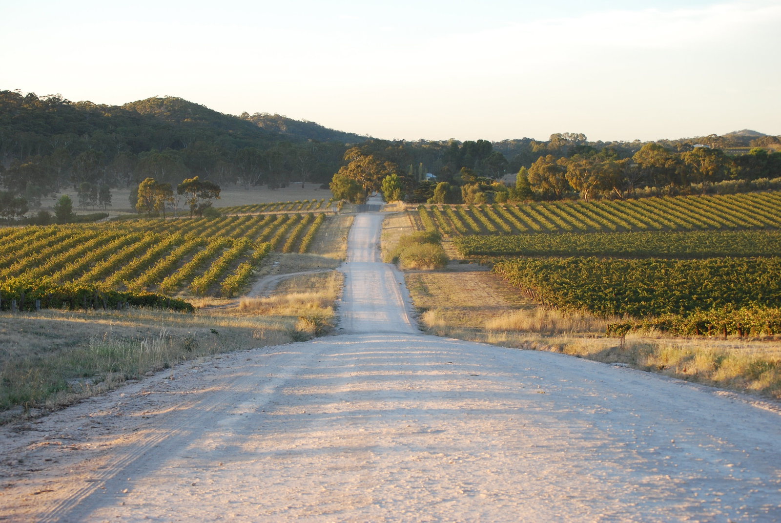 Yacka SA Local Tourism