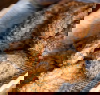 The Art of Fried Chicken - Accommodation Australia