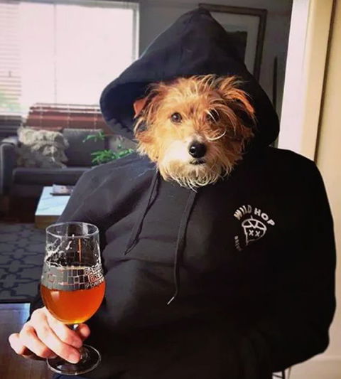 Wild Hop Brewing Company - Accommodation Australia 1