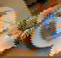 Museum Coffee Shop - Local Tourism