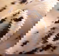 Royal Copenhagen Ice Cream - The Rocks - Accommodation Australia