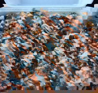 Sizzlers Kebab - Accommodation Australia