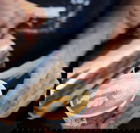 Soul Origin - Helensvale - Australia Shopping