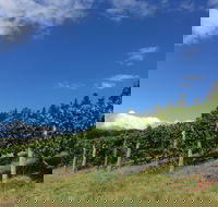 Freycinet Vineyard - Accommodation Australia