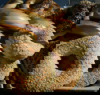 NYC Bagel Deli  Cafe - West End - Accommodation Australia