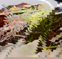 Rising Sun Hotel - Accommodation Australia