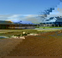 Thomson Brook Wines - Local Tourism